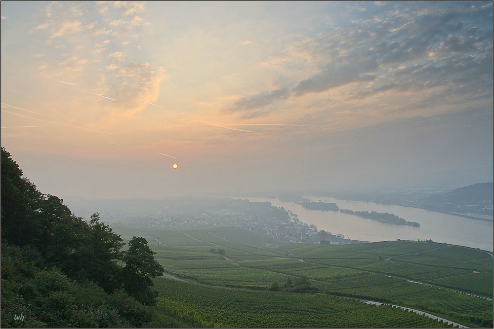 Rüdesheim am Rhein