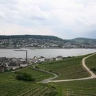 Rüdesheim am Rhein