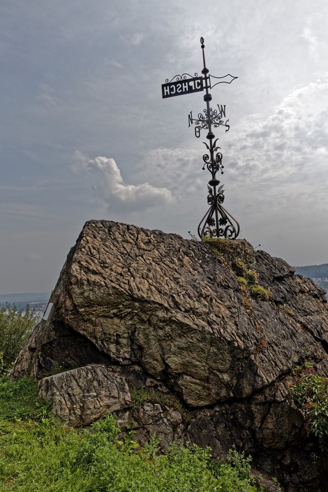 Rüdesheim Aussichtspunkt im Weinberg