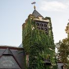 Rüdesheim