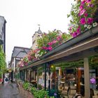 Rüdesheim, Drosselgasse