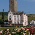 Rüdesheim,