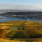 Rüdesheim im Herbst.