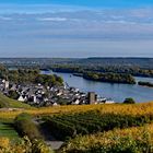 Rüdesheim im Herbst.