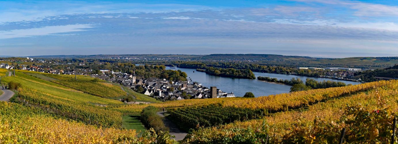 Rüdesheim im Herbst.