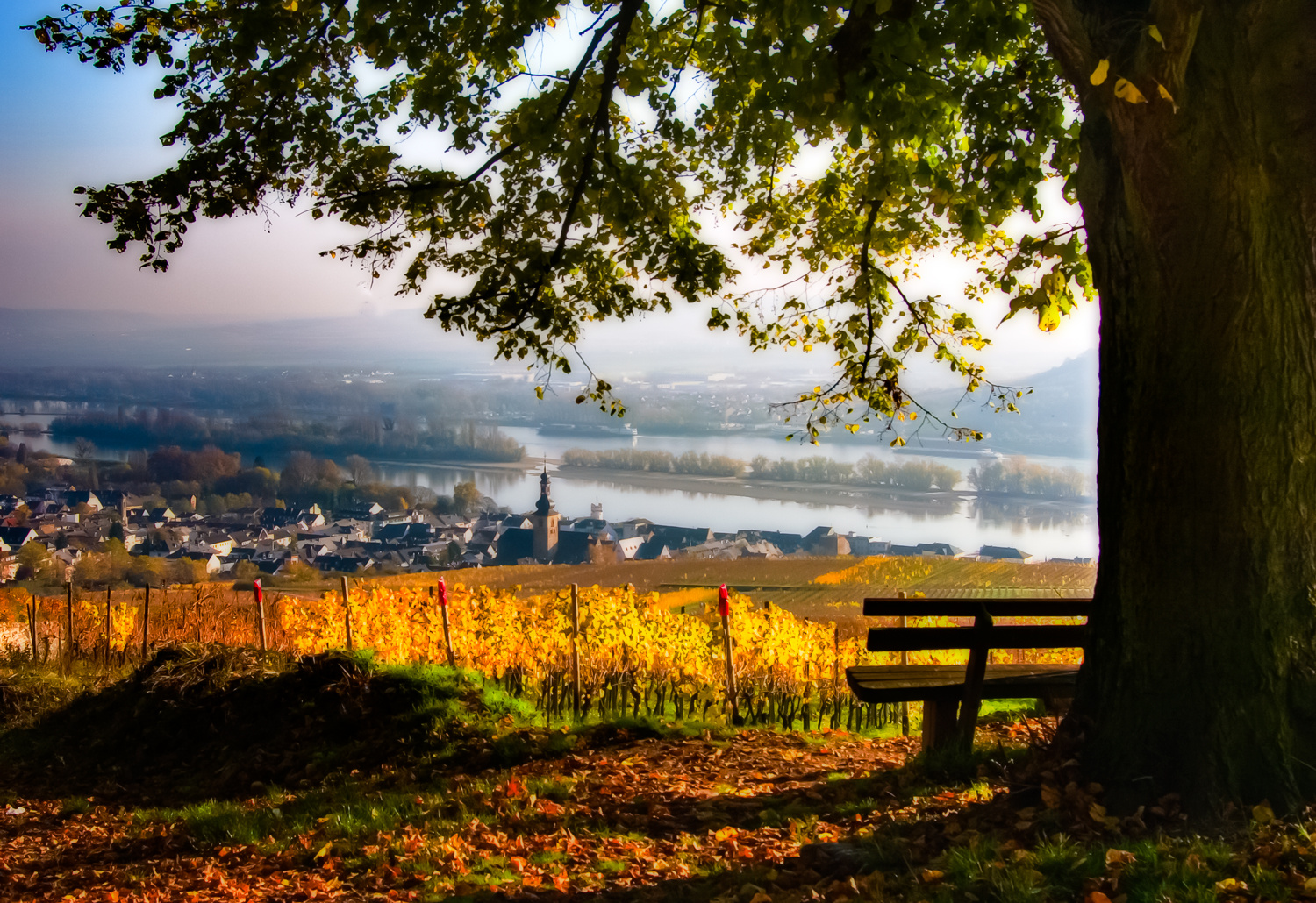 ruedesheim im herbst