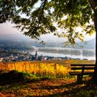 ruedesheim im herbst