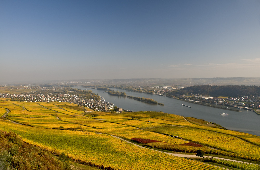 Rüdesheim in der Herbstsonne