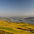 Rüdesheim in der Herbstsonne