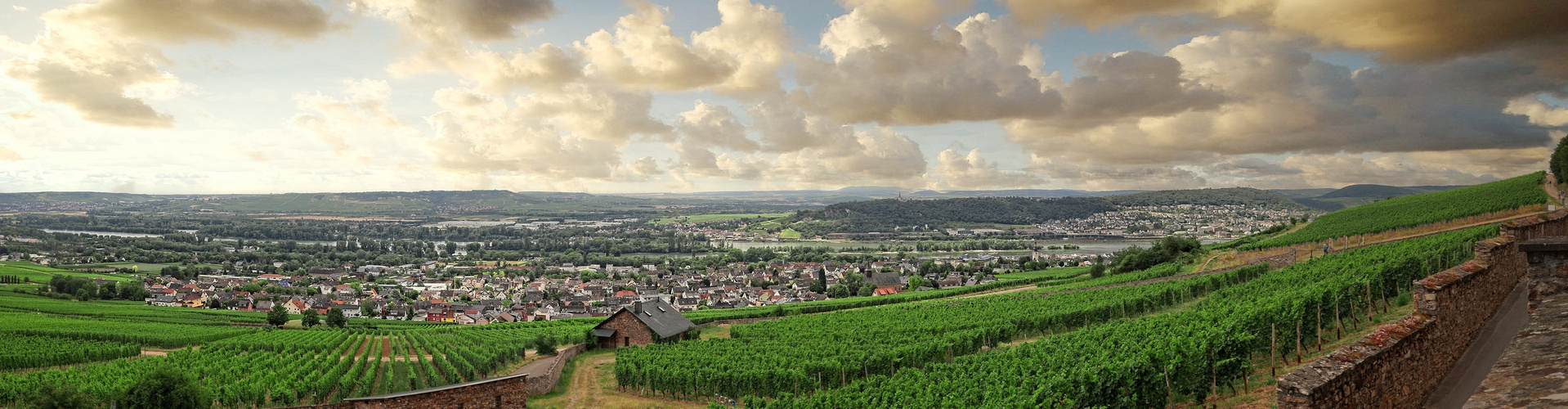 Rüdesheim  Panorama