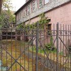 Rüdesheim Schloss - hinten