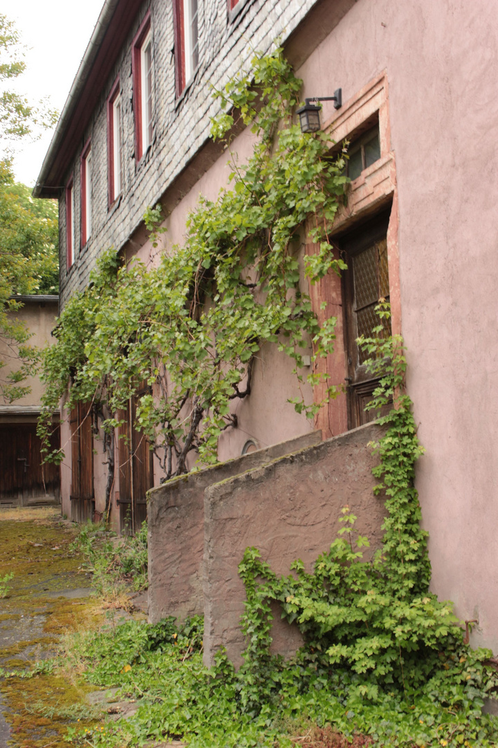 Rüdesheim Schloss - Hintereingang 2