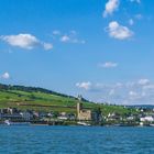 Rüdesheim Ufer Panorama