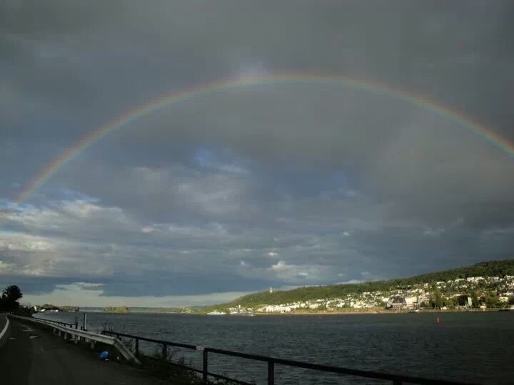 Rüdesheimer Regenbogen