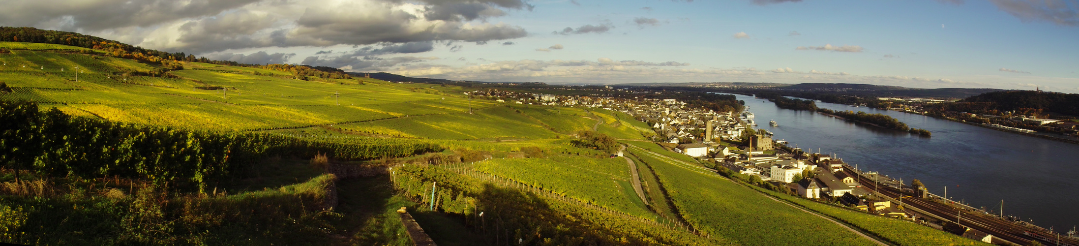 Rüdesheimer Weinberge.