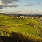 Rüdesheimer Weinberge.