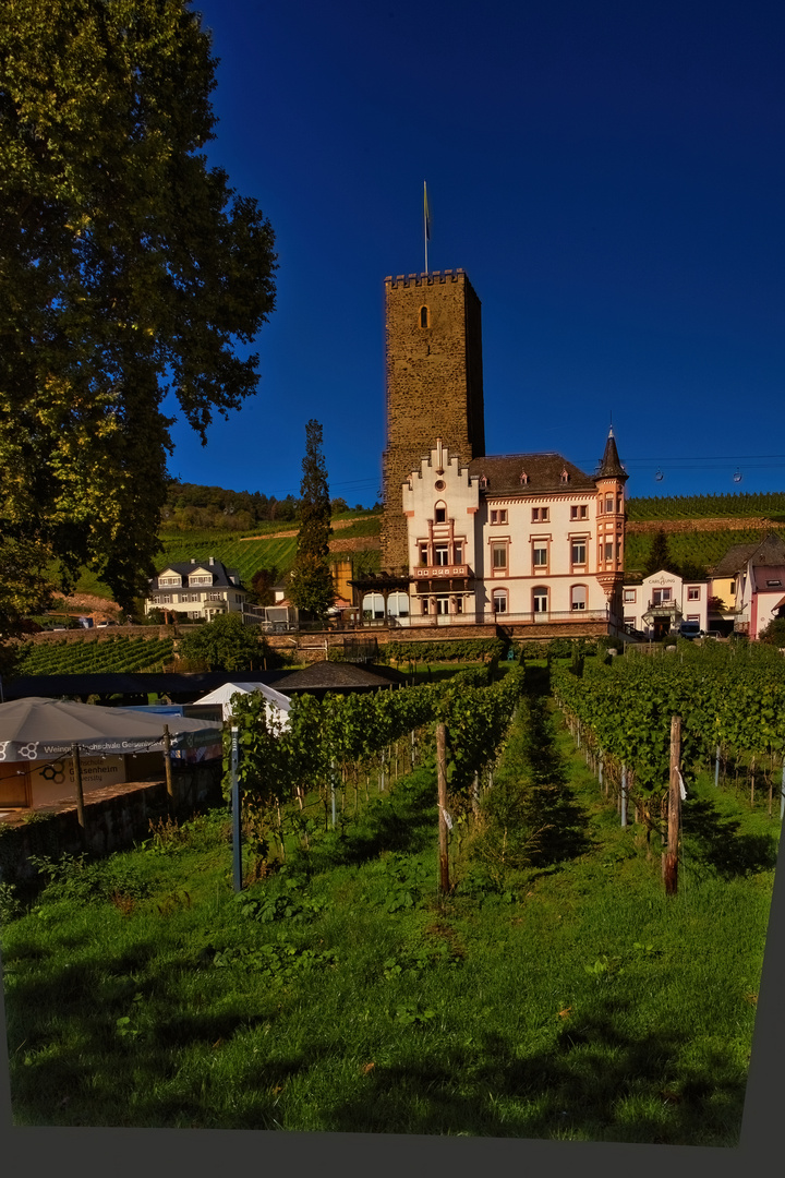  Rüdeshrim/Rhein -Boosenburg - Montag-blue monday