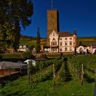  Rüdeshrim/Rhein -Boosenburg - Montag-blue monday