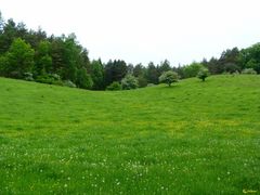 Rüdigsdorfer Schweiz, Rüdigsdorf bei Nordhausen am Harz