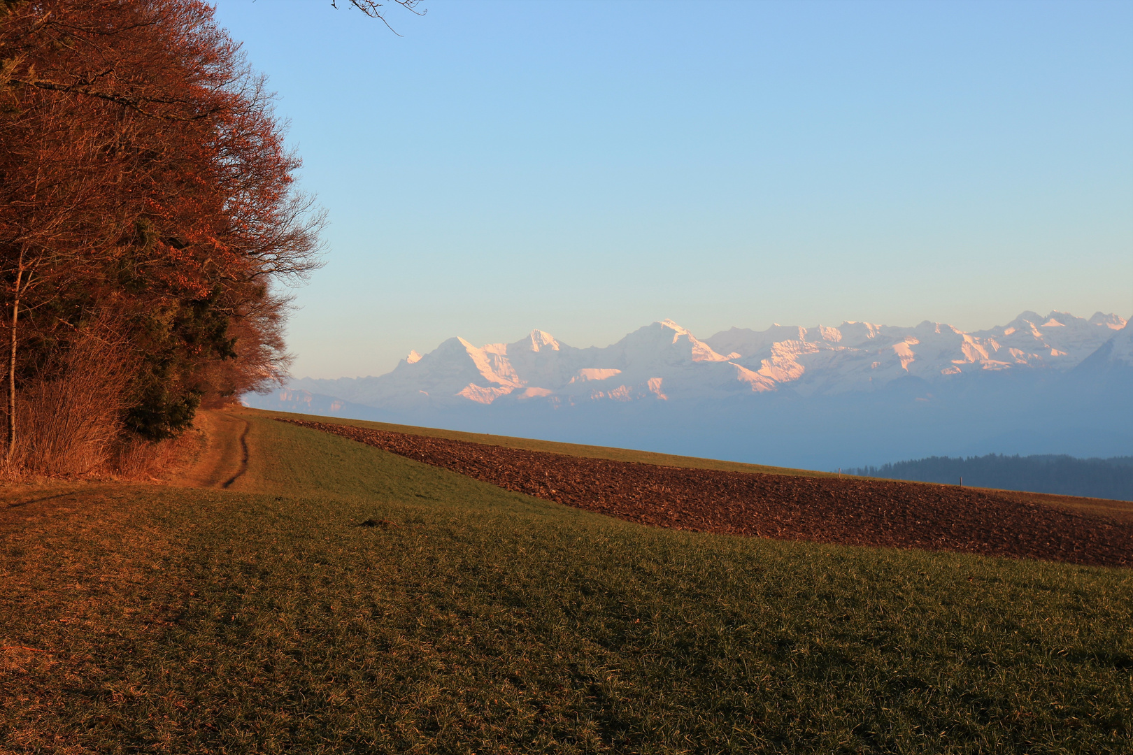 Rüeggisberg Thanwald