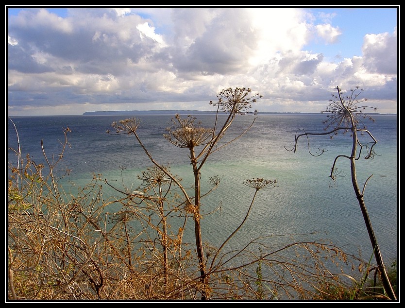 Rügen 03