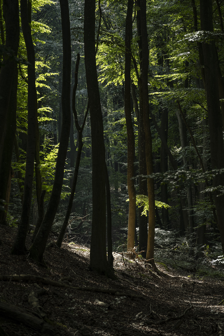 Rügen-2023-043