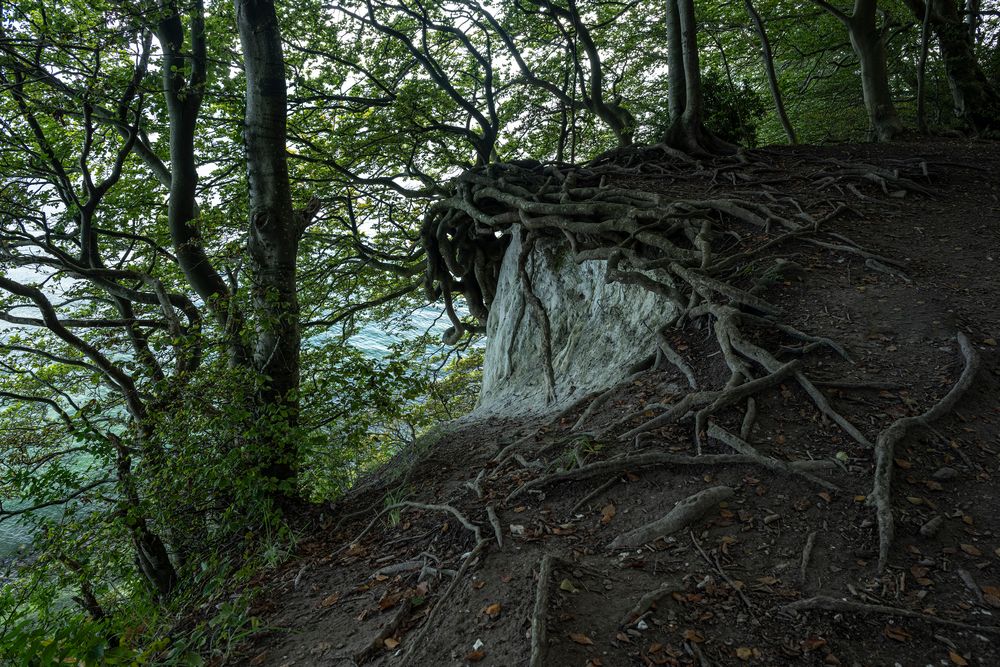 Rügen-2023-071