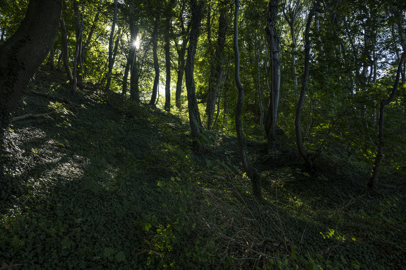 Rügen-2023-095