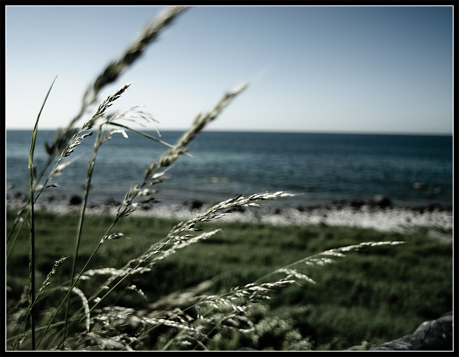 Rügen, 4.7.2009