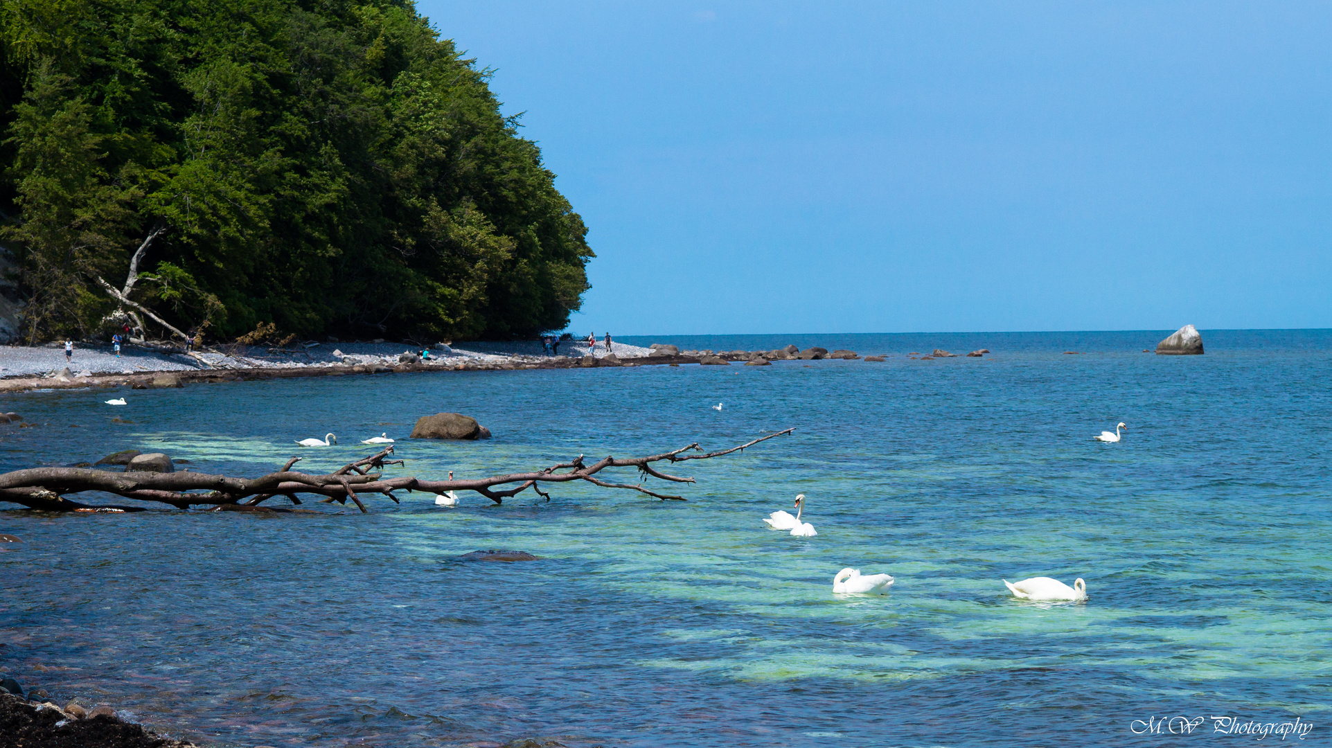 Rügen