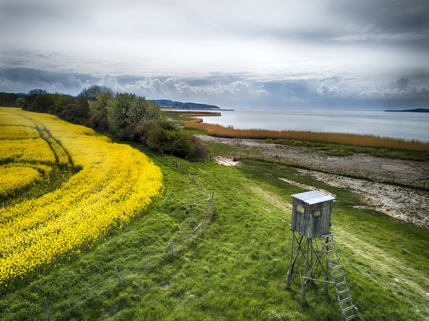 Rügen