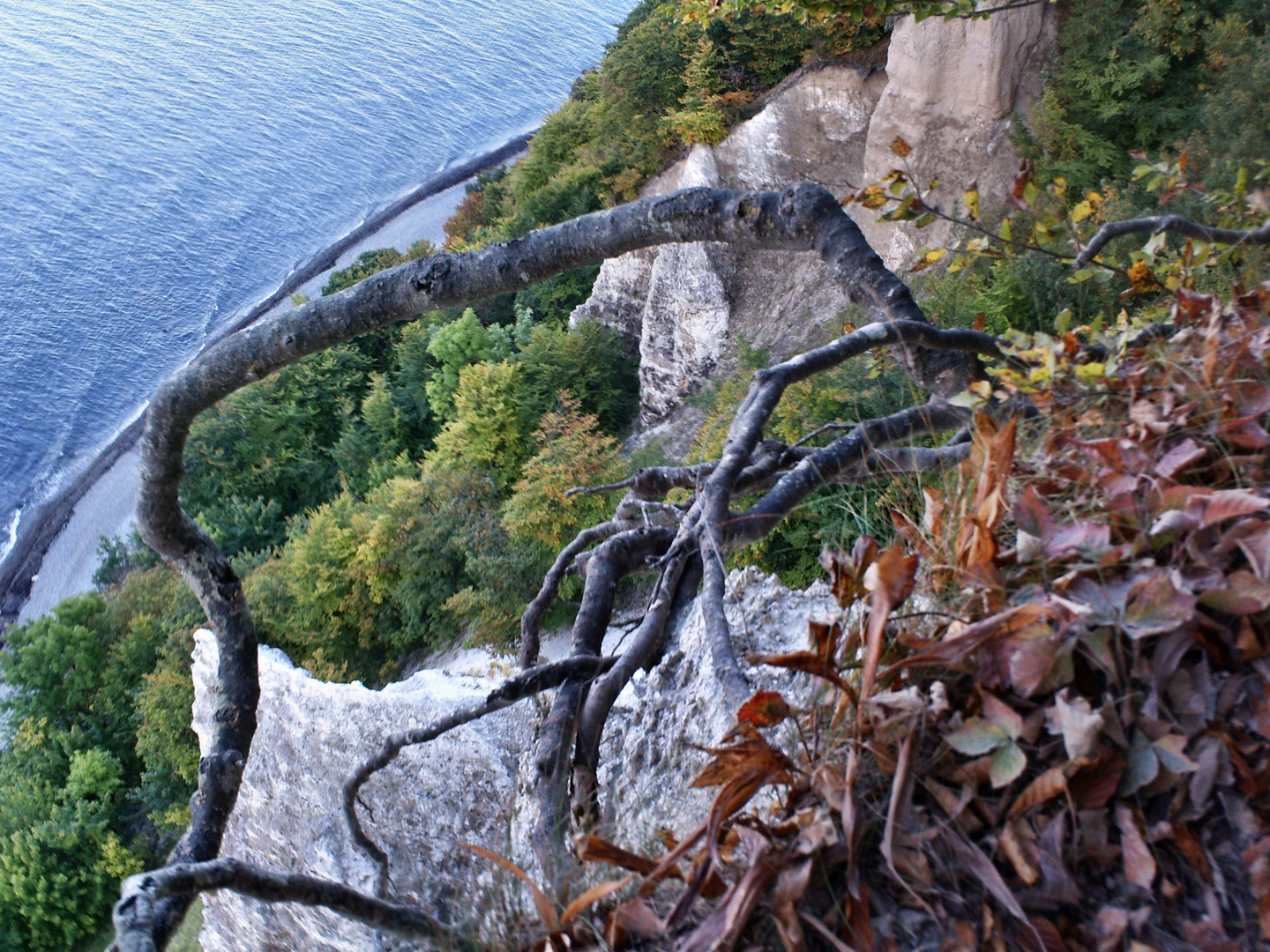 Rügen