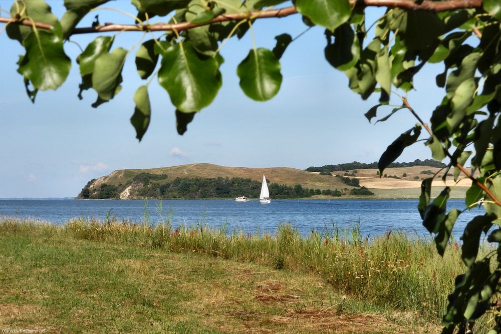 Rügen