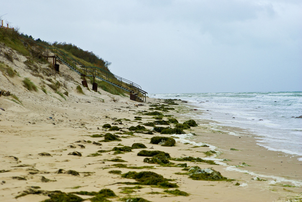 Rügen