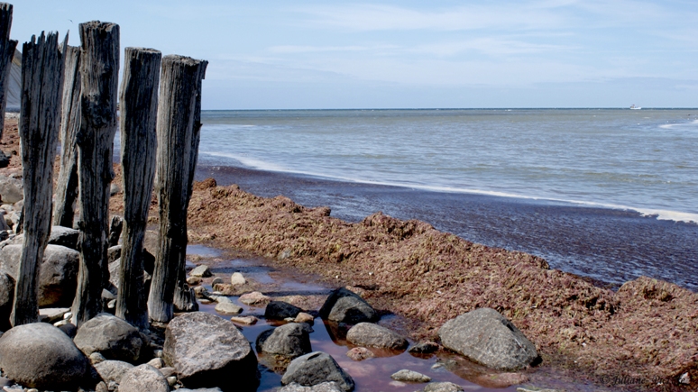 Rügen &#9829;