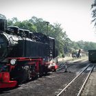 Rügen am Bahnhof Rasender Roland