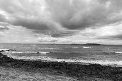 Rügen am Strand von Neu Reddevitz