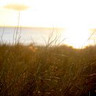 Rügen an einem Sommermorgen