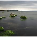 Rügen (August 2017)