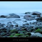 rügen / blaue stunde