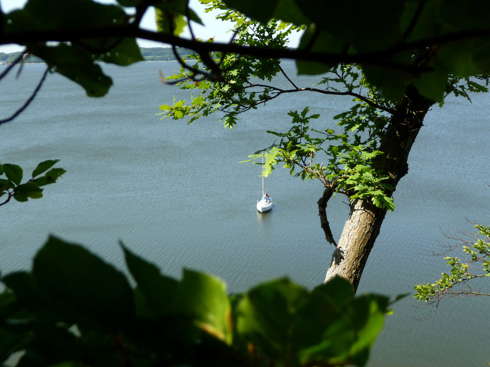 Rügen - Boot