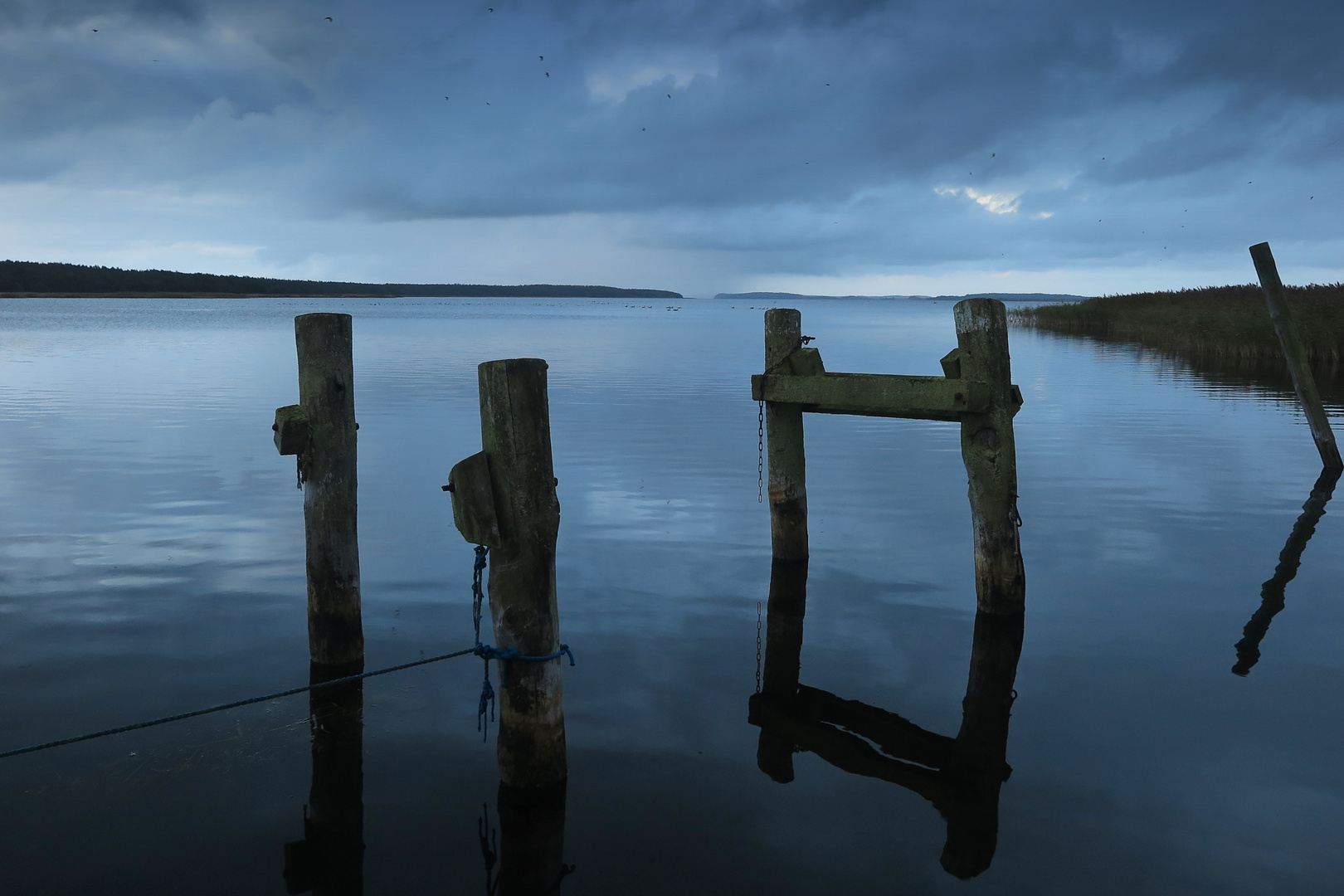 Rügen Breege - Großer Jasmunder Bodden