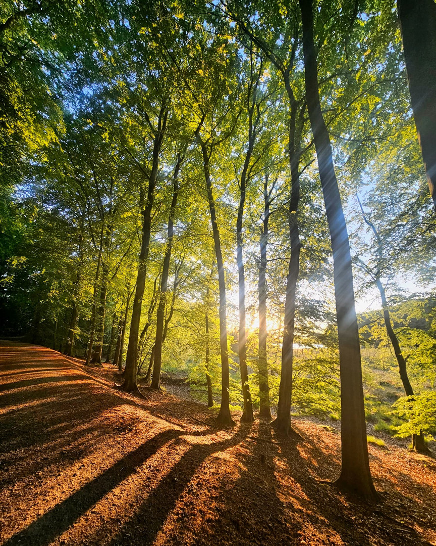 Rügen