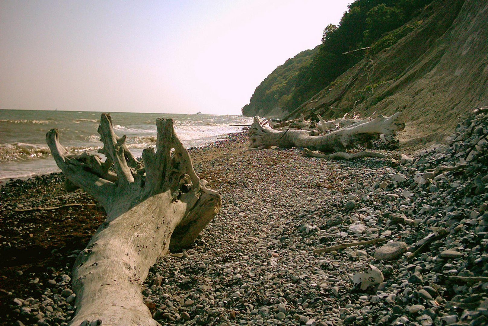 Rügen