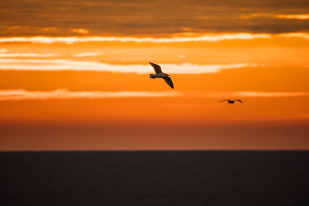 Rügen Dezember 2019