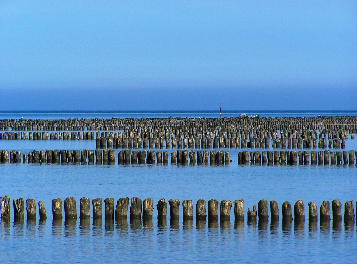 Rügen - Dranske