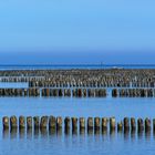 Rügen - Dranske