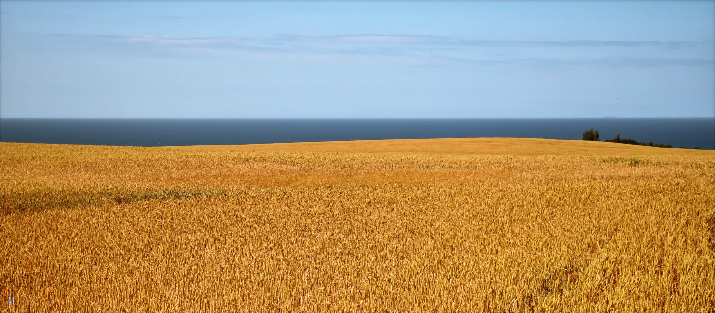 Rügen