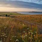 Rügen erwacht