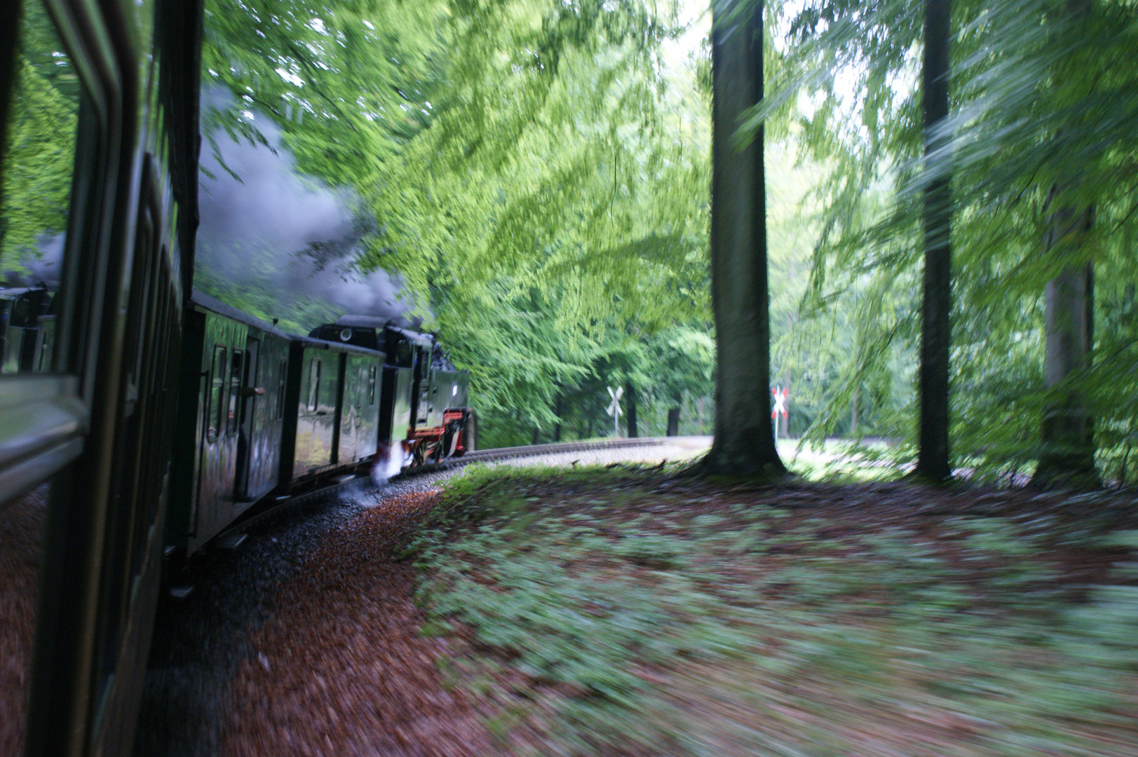 Rügen: Fahrt mit dem Rasenden Roland